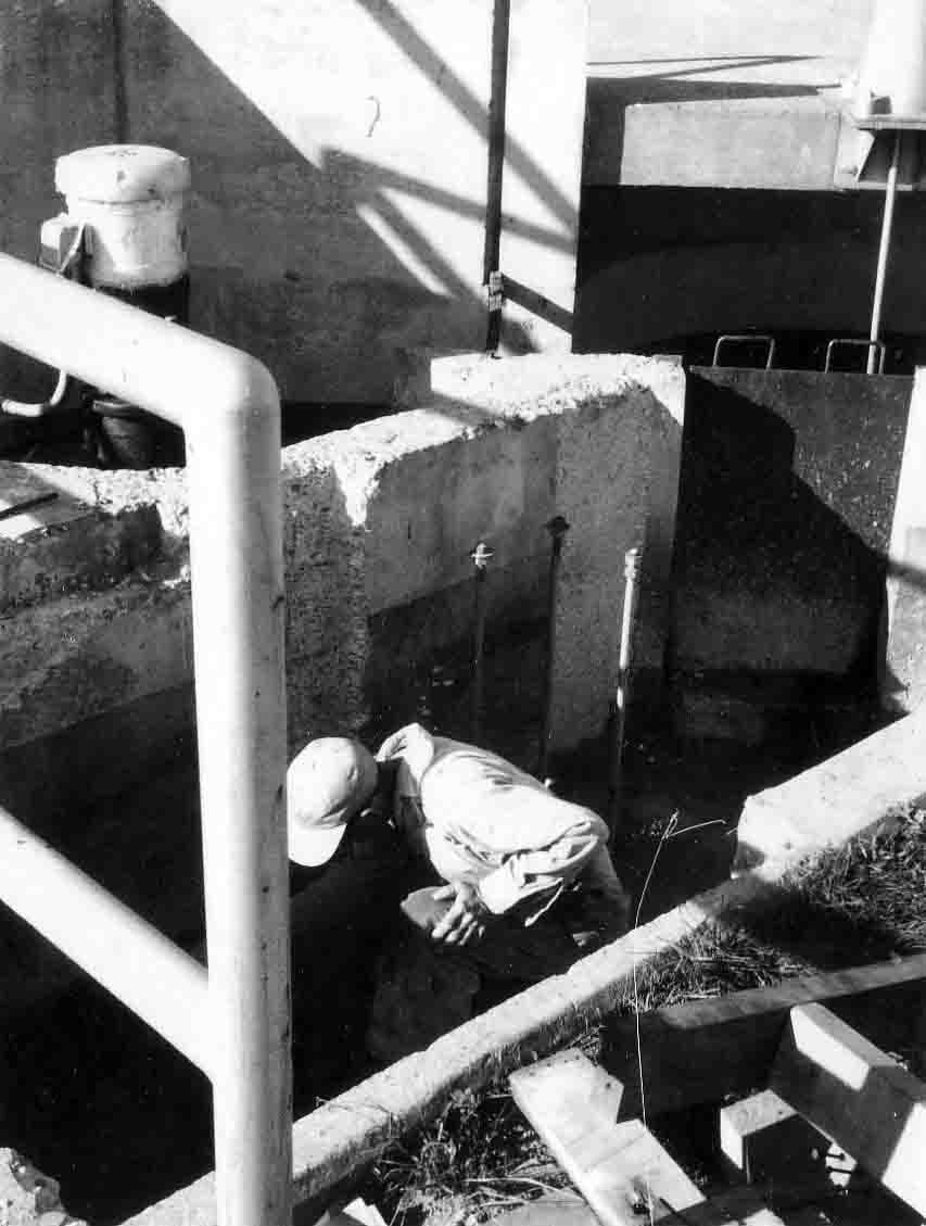 New Comminutor 19620002